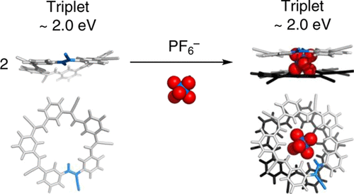 Triplet States of Cyanostar and its Anion Complexes